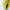Vice Aero Carry Bag Lime