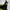 Vice’s Drip Lime/Black handdoek